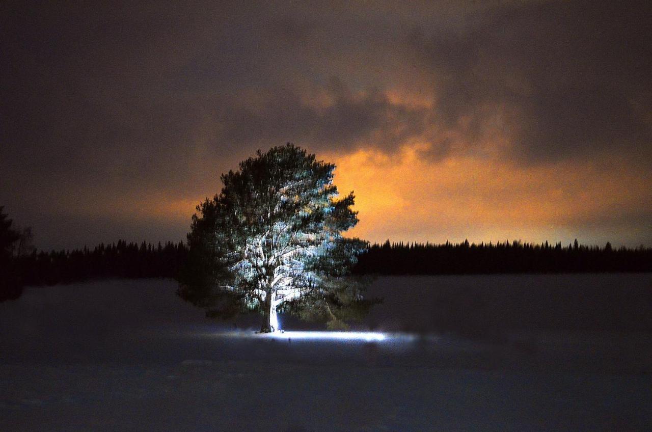 Båtskärsnäs Nordic Lapland Frevisoren المظهر الخارجي الصورة